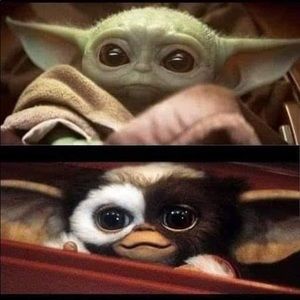 Meet your Posher, Richard